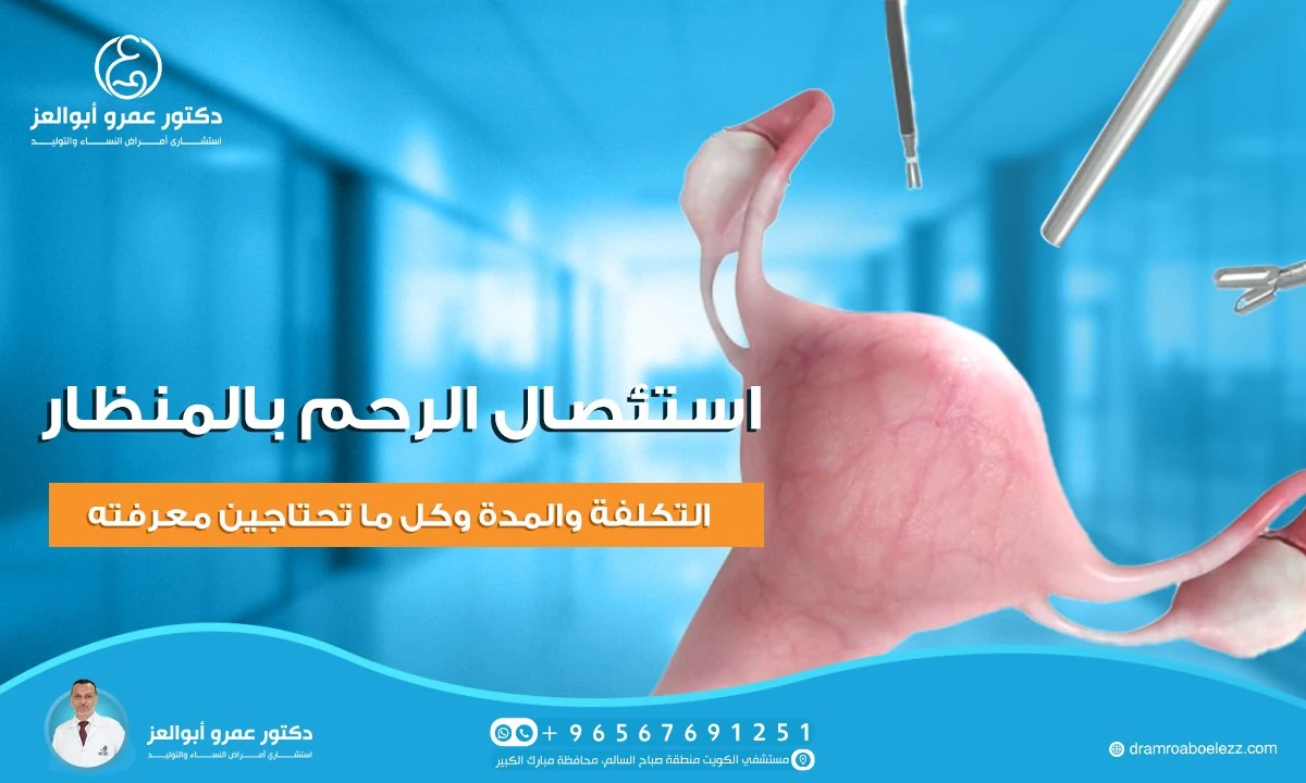 استئصال الرحم بالمنظار: التكلفة والمدة وكل ما تحتاجين معرفته
