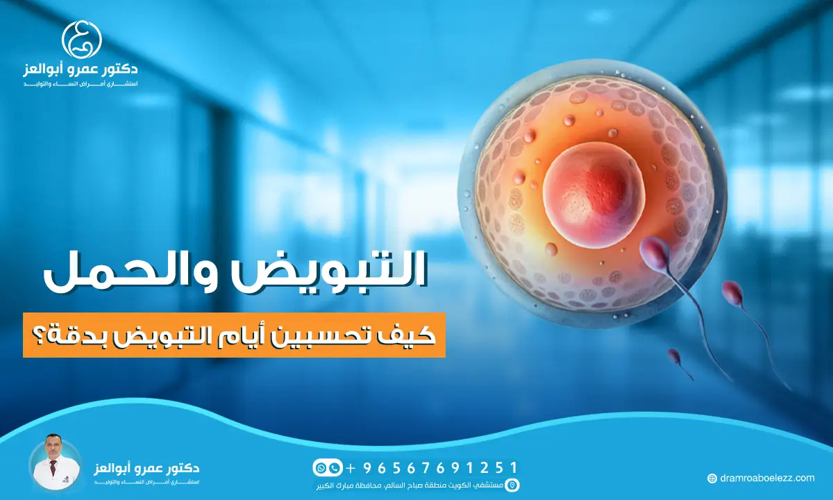 التبويض والحمل: كيف تحسبين أيام التبويض بدقة؟