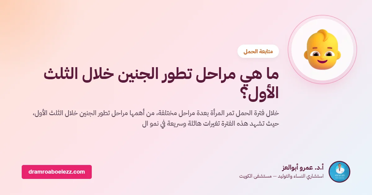 ما هي مراحل تطور الجنين خلال الثلث الأول؟