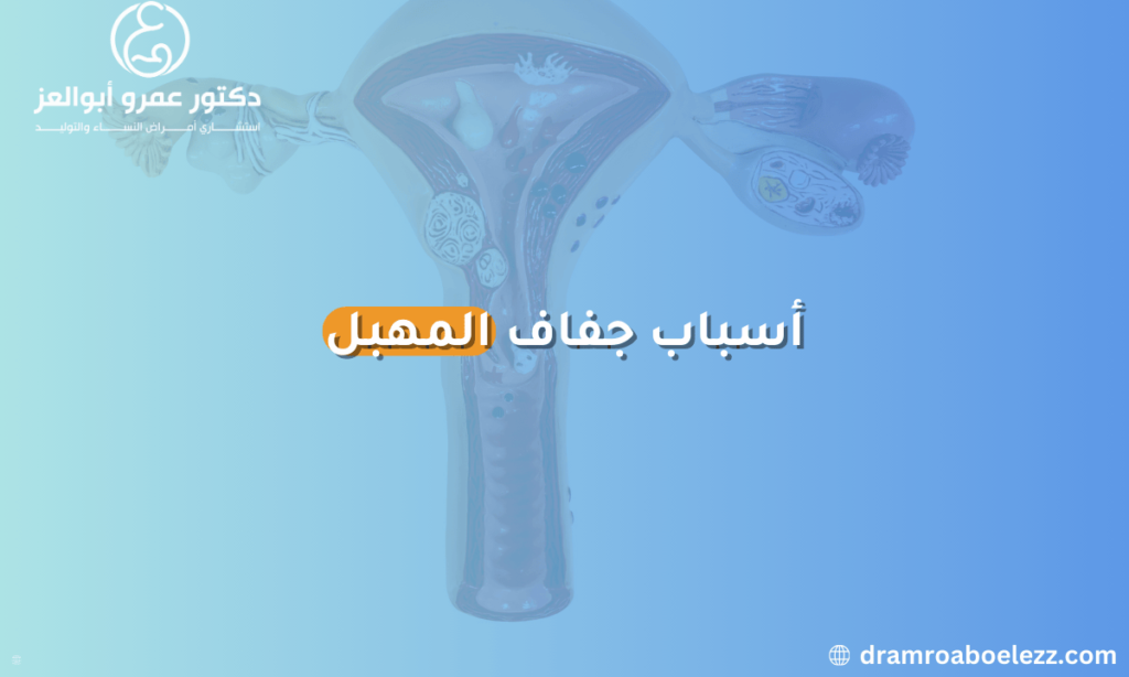 صورة تشرح الأسباب الرئيسية لجفاف المهبل مثل انخفاض مستوى الإستروجين، التغيرات الهرمونية، أو استخدام بعض الأدوية.